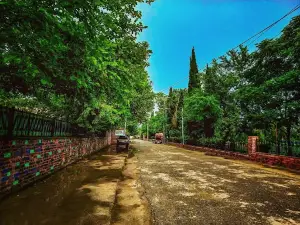 District Complex Park