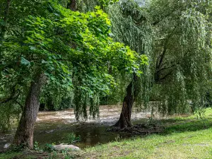 Saint Léonard Des Bois
