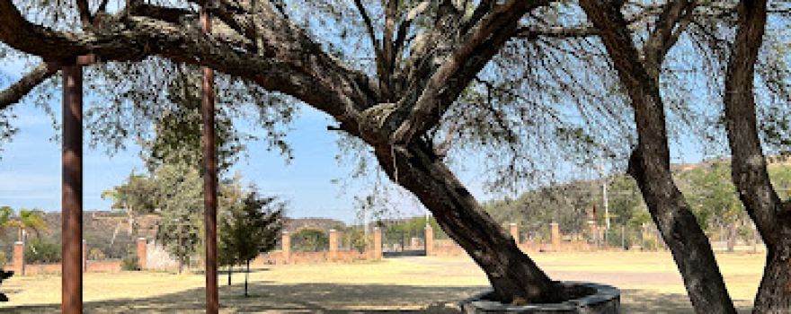 Campestre “Los Guillén”