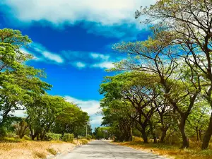 Hacienda Luisita Train Relic