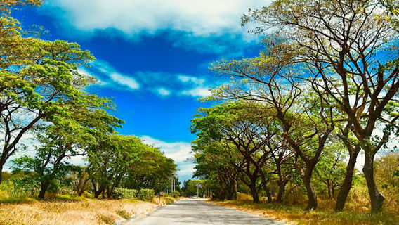 Hacienda Luisita Train Relic