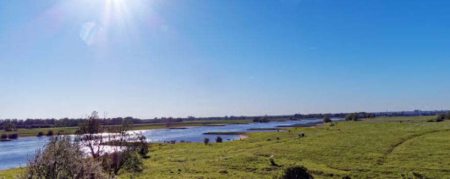 Natuurgebied Loowaard