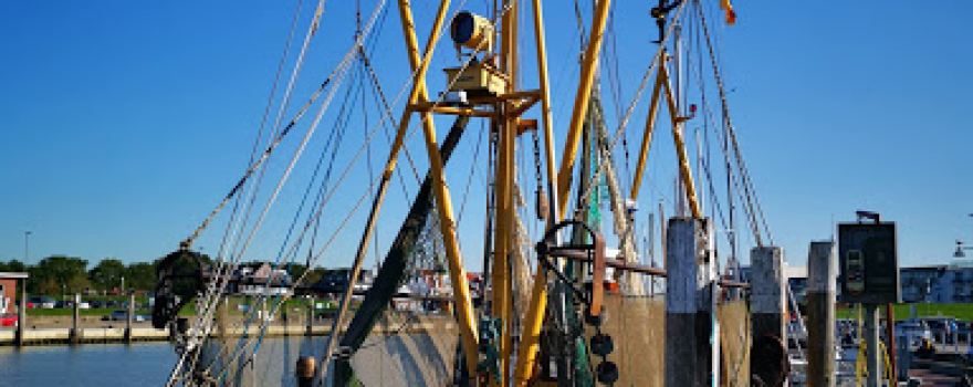 Bensersiel Emden Weg 10 campsite
