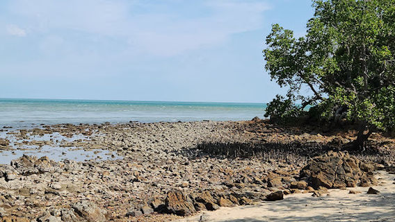 Bukit Batu Putih