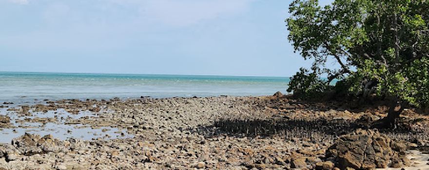 Bukit Batu Putih