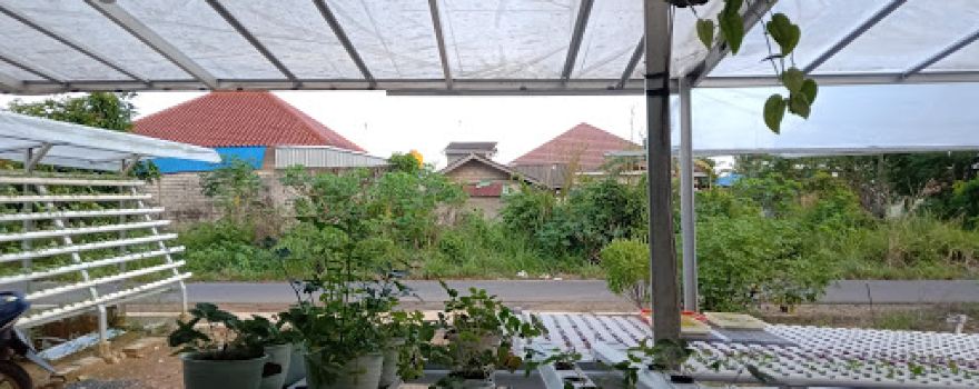 Asri Hydrofarm