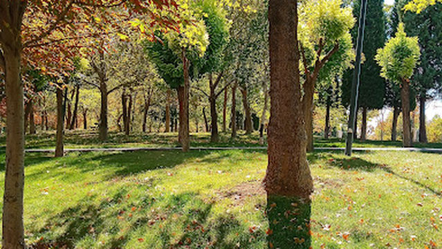 Selahattin Eyyubi Parkı