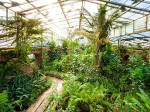 Santa Cruz de la Sierra Botanical Garden