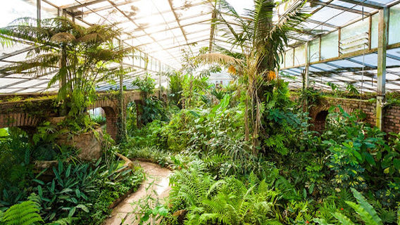 Santa Cruz de la Sierra Botanical Garden