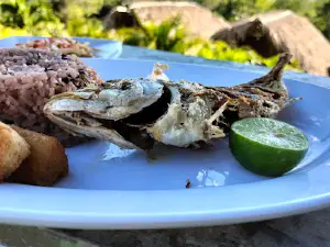 Villa Yessica