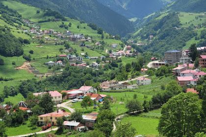 Hamsiköy NİYAZİ USTA