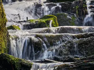 Selkefall