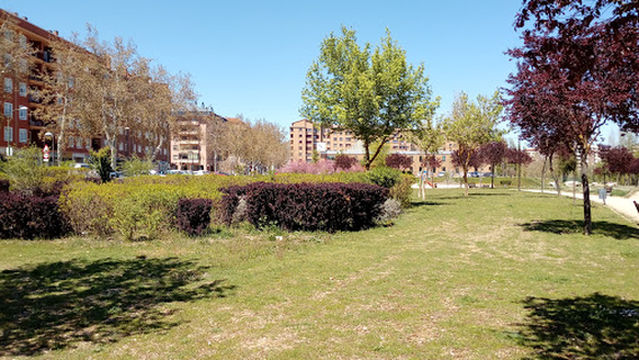 Allendeduero Park