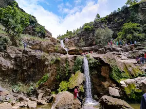 Tantya Mama Gufa
