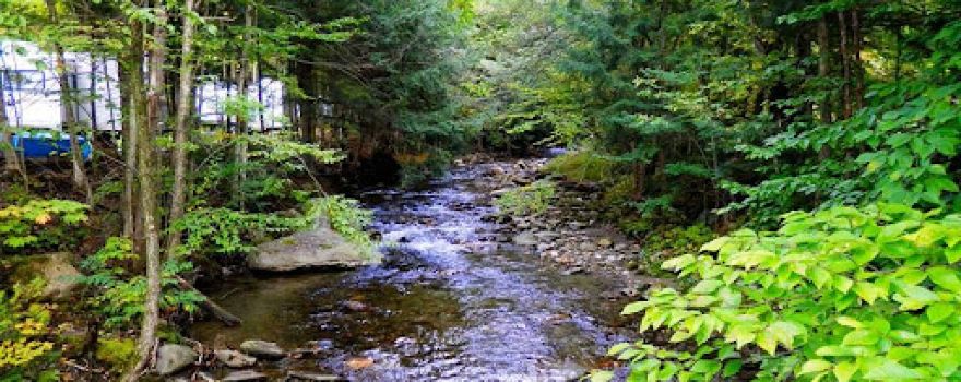 Millbrook Campground