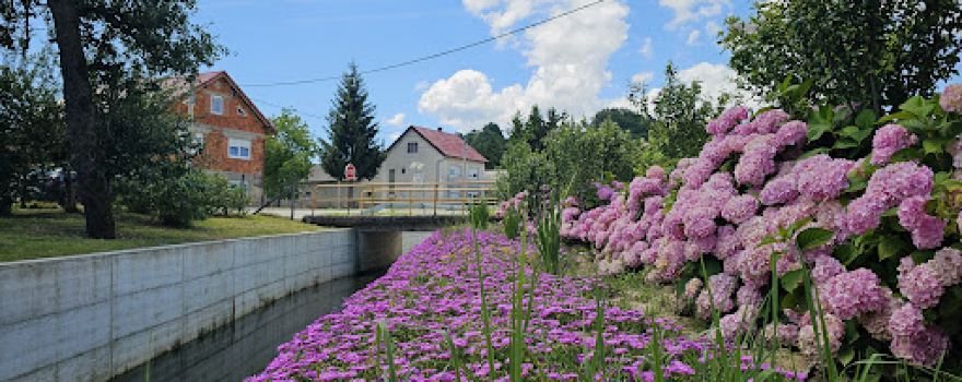 Tužno