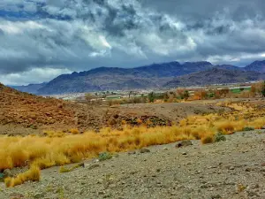 Darga Gardan