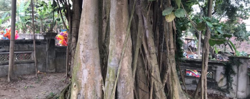 Đền làng Phù Liễn
