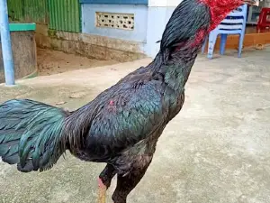 Sân Vân động xã Phổ Phong