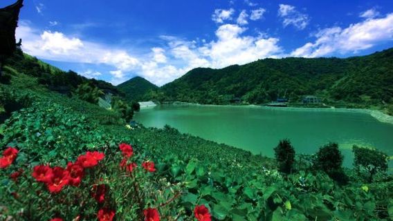 Zhongfang