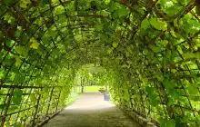 Public Park in Commemoration of H.M. the King's 6th Cycle Birthday