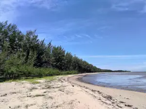Pantai Tanjung Nipah