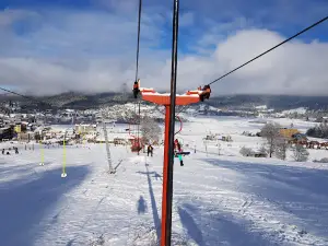 Ski and grasski track