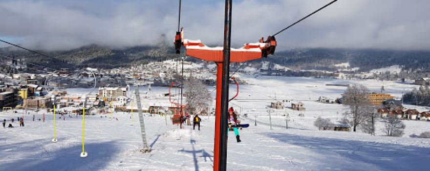Ski and grasski track