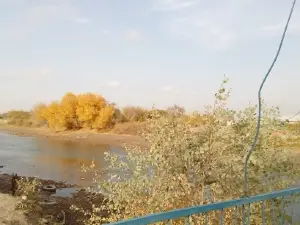 Shavat Canal