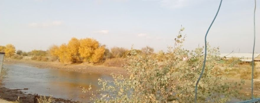Shavat Canal