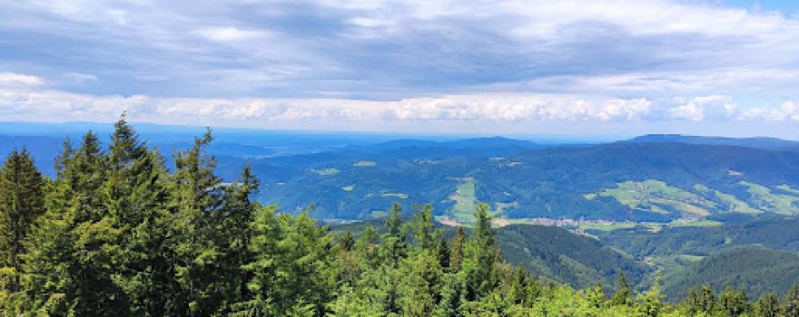 Brandenkopf