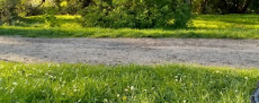 Parc de Spelthorne