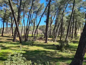 bacino di El Villar