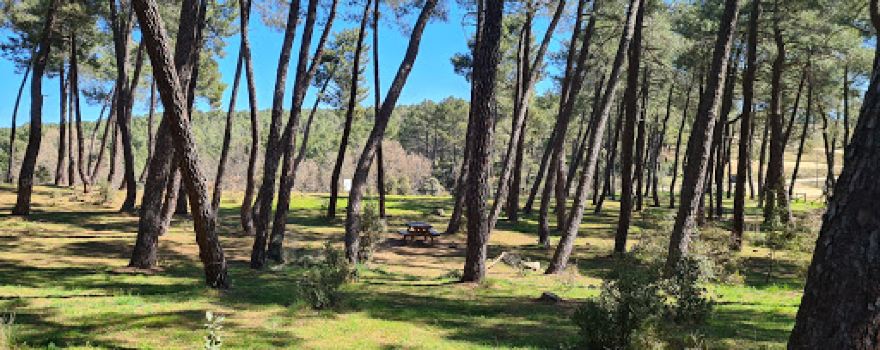 Presa De El Villar