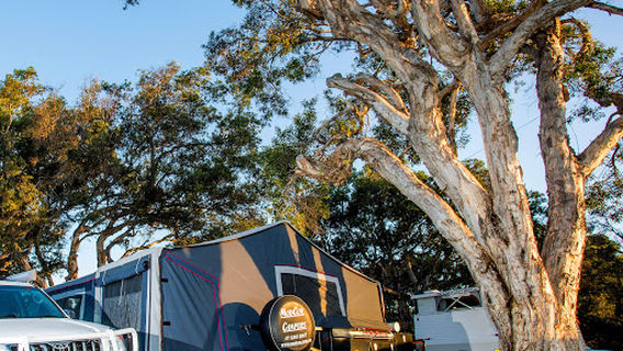 Reflections Scotts Head - Holiday Park