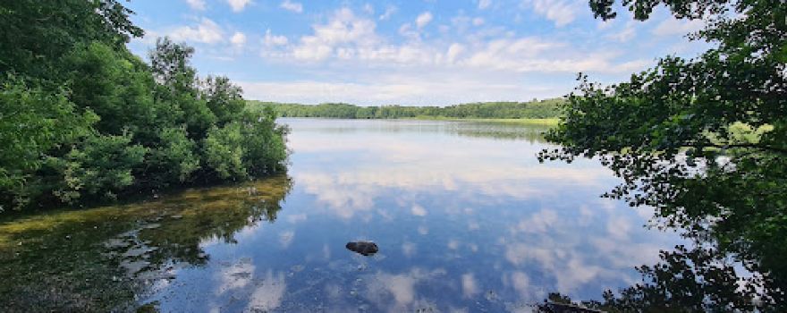 Blankensee