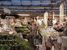 De Bloemenjungle