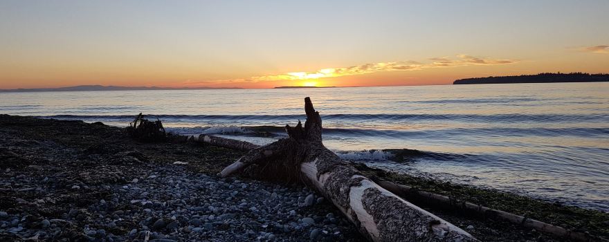 Birch Bay State Park