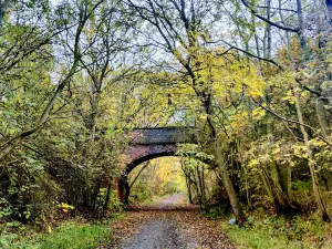 Wynyard Woodland Park Country Park
