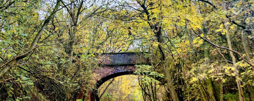 Wynyard Woodland Park Country Park