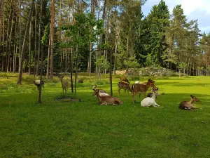 Wildpark Hufeisen