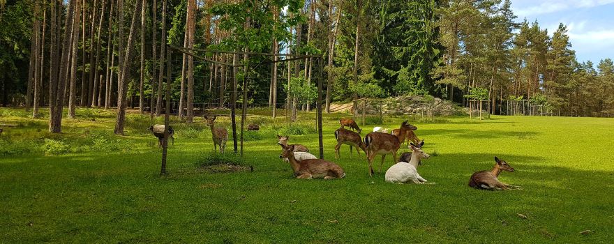 Wildpark Hufeisen