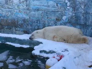 Yekaterinburgskiy Zoopark