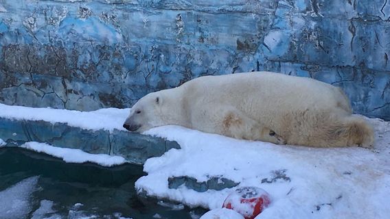 Yekaterinburgskiy Zoopark