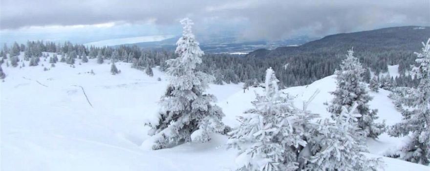 Parc Jura vaudois