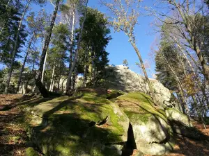 The ruins of the Castle Kamieniec