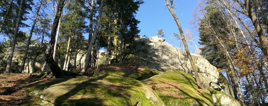 The ruins of the Castle Kamieniec