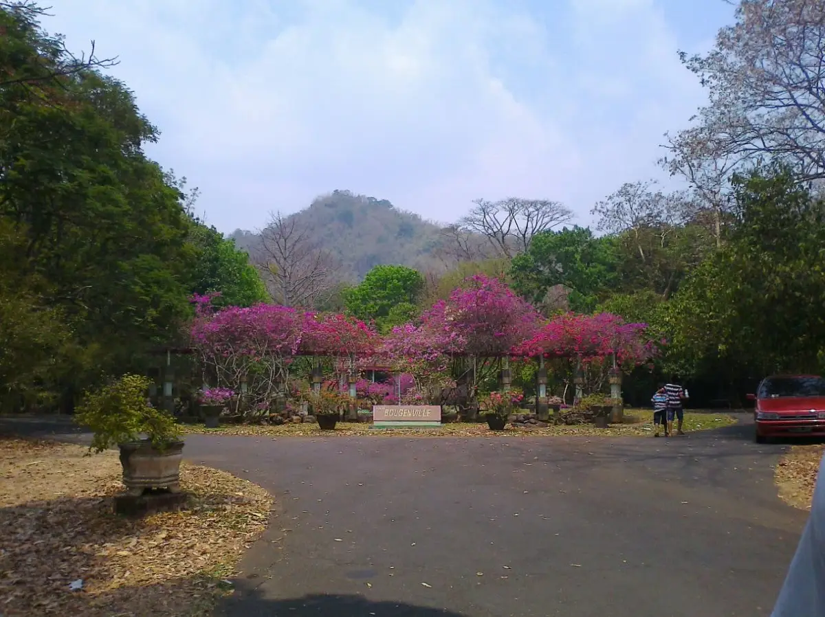 Kebun Raya Purwodadi