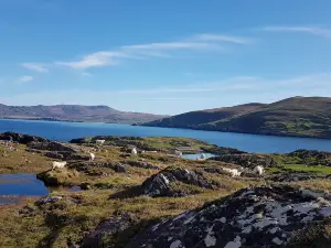 Dursey Island