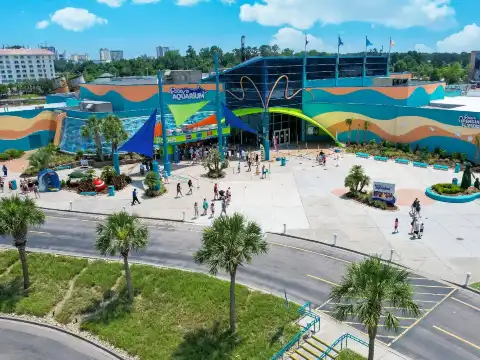 リプリー水族館周辺のホテル